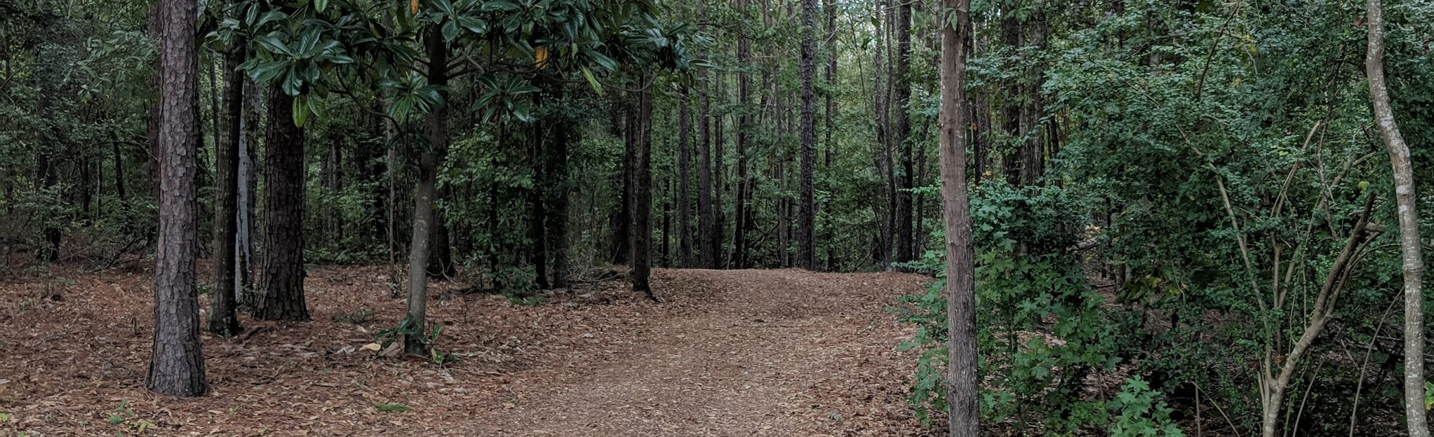 Columbus Botanical Garden, 15 Reviews, Map AllTrails