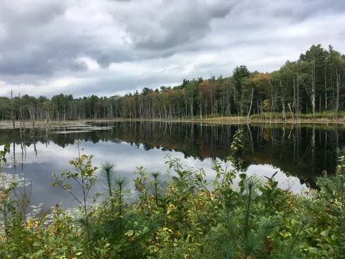 10 Best Trails and Hikes in Holliston | AllTrails