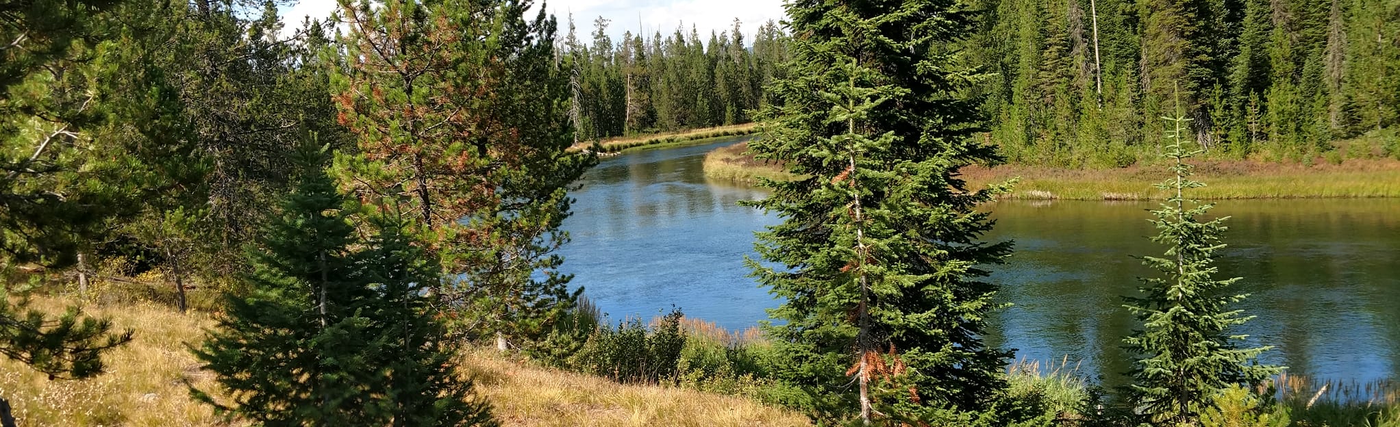 Union Falls to Boundary Creek 1 Reviews, Map Montana AllTrails