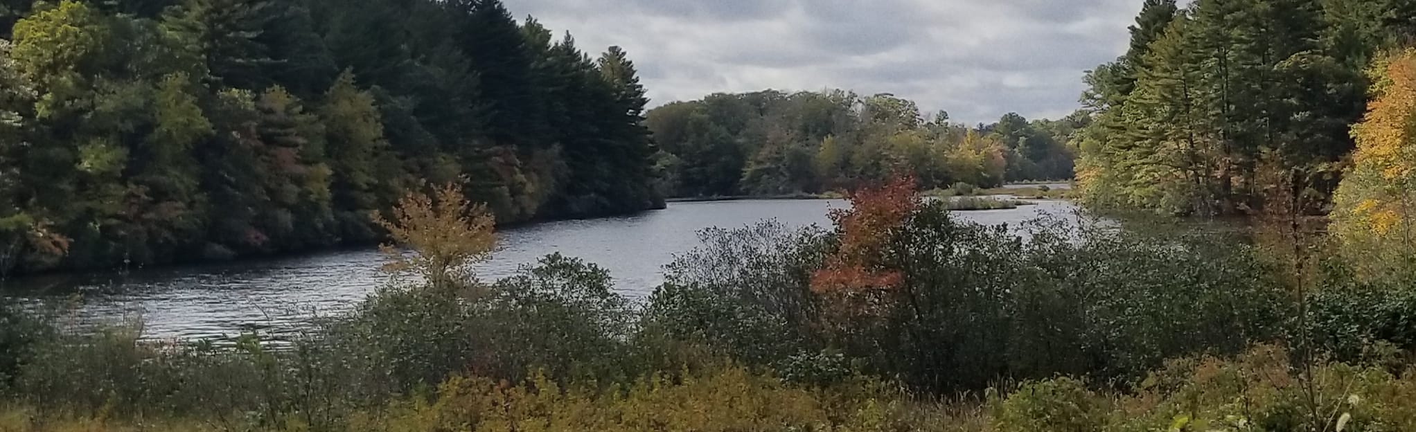 Foxboro Conservation Land Central Loop 139 Reviews, Map