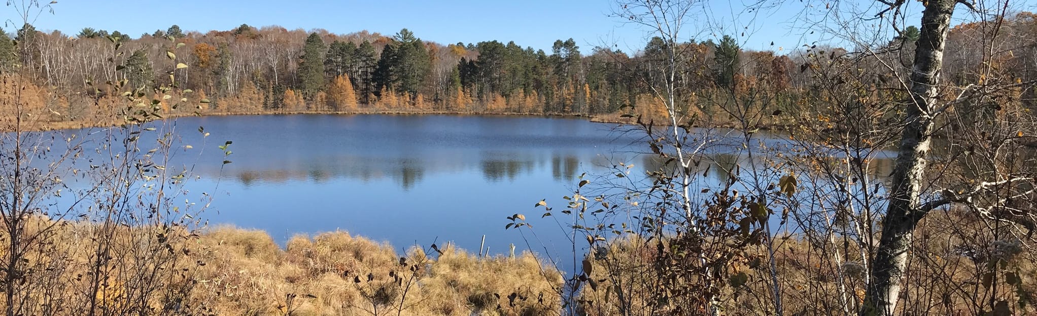 Crosslake Community Center Trail 149 Reviews, Map Minnesota AllTrails