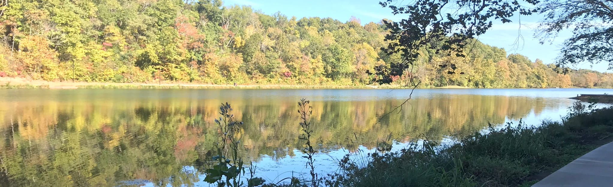 Lake Atalanta to the Grove, Arkansas 81 Reviews, Map AllTrails