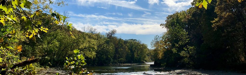 are dogs allowed at matthiessen state park