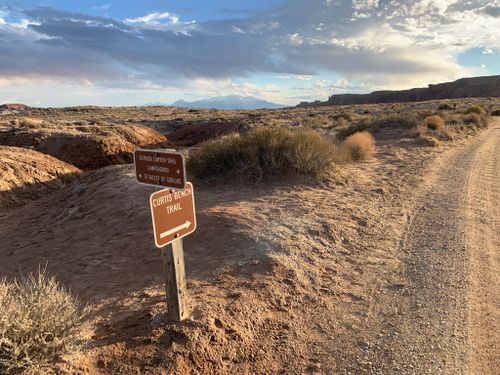 are dogs allowed in goblin valley