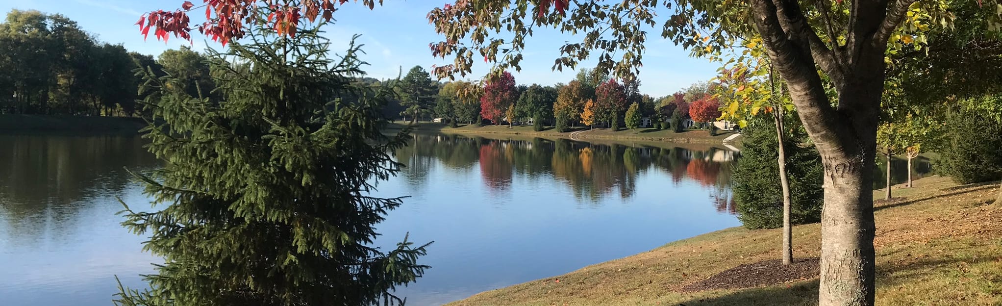 Horsebarn Road Osage Creek and - EyJidWNrZXQiOiJhc3NldHMuYWxsdHJhaWxzLmNvbSIsImtleSI6InVwbG9hZHMvcGhvdG8vaW1hZ2UvMjE2MDI4NDIvMDU5OTI5MWM2NzI2ZTRmZGM5NzQ3ZjEyMWFkODY3NTYuanBnIiwiZWRpdHMiOnsidG9Gb3JtYXQiOiJqcGVnIiwicmVzaXplIjp7IndpZHRoIjoyMDQ0LCJoZWlnaHQiOjYyNCwiZml0IjoiY292ZXIifSwicm90YXRlIjpudWxsLCJqcGVnIjp7InRyZWxsaXNRdWFudGlzYXRpb24iOnRydWUsIm92ZXJzaG9vdERlcmluZ2luZyI6dHJ1ZSwib3B0aW1pc2VTY2FucyI6dHJ1ZSwicXVhbnRpc2F0aW9uVGFibGUiOjN9fX0=