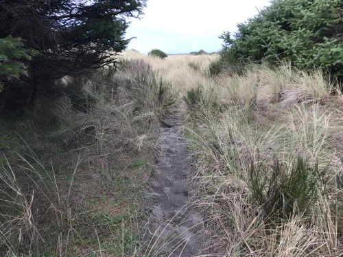 10 Best Hikes And Trails In Fort Stevens State Park | AllTrails