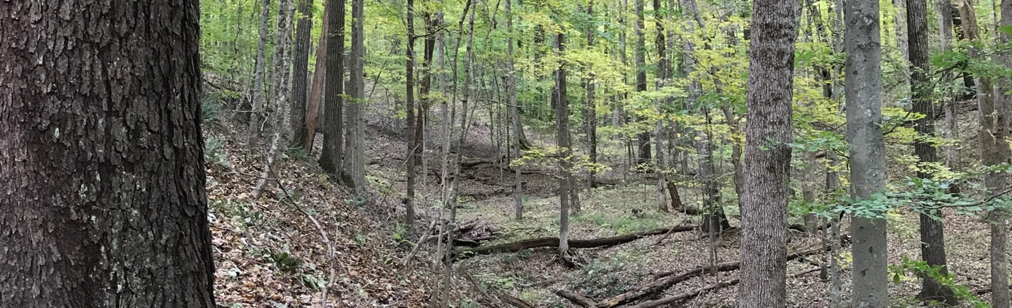 Brown County State Park Trail 1 - EyJidWNrZXQiOiJhc3NldHMuYWxsdHJhaWxzLmNvbSIsImtleSI6InVwbG9hZHMvcGhvdG8vaW1hZ2UvMjE2MDk1MzgvZWNlZTgxM2JiYjkyMWE4N2Y5NjhlYmVmMzljY2EzNDkuanBnIiwiZWRpdHMiOnsidG9Gb3JtYXQiOiJqcGVnIiwicmVzaXplIjp7IndpZHRoIjoyMDQ0LCJoZWlnaHQiOjYyNCwiZml0IjoiY292ZXIifSwicm90YXRlIjpudWxsLCJqcGVnIjp7InRyZWxsaXNRdWFudGlzYXRpb24iOnRydWUsIm92ZXJzaG9vdERlcmluZ2luZyI6dHJ1ZSwib3B0aW1pc2VTY2FucyI6dHJ1ZSwicXVhbnRpc2F0aW9uVGFibGUiOjN9fX0=