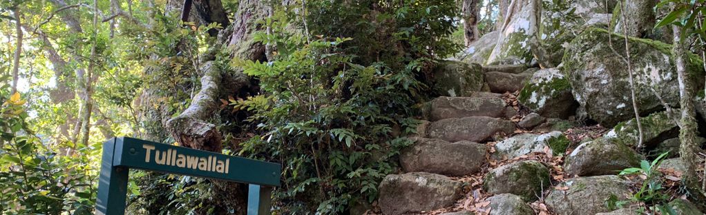 Backyard Tourist: Coomera Falls at Coomera Circuit, Binna Burra on
