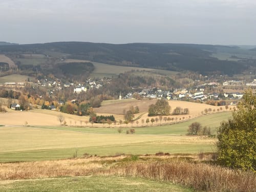 Ein Besuch beim Sauensäger in Blockhausen