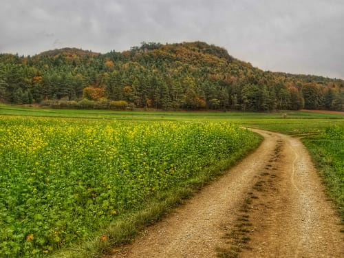 Höhenglücksteig (Teil 1)
