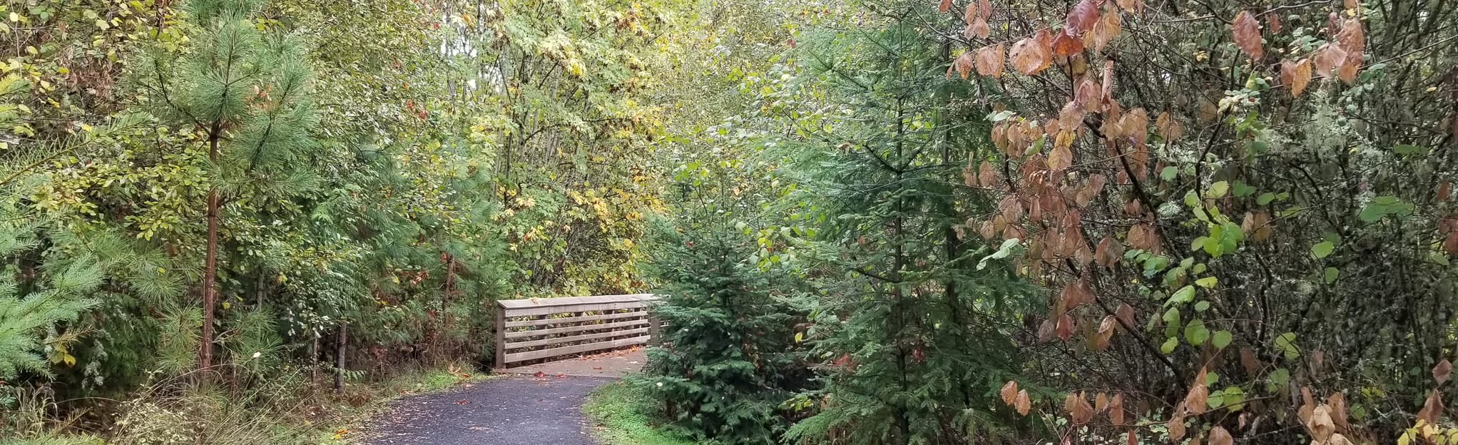 Little Prairie and Cooper Mountain, Oregon 69 Reviews, Map AllTrails