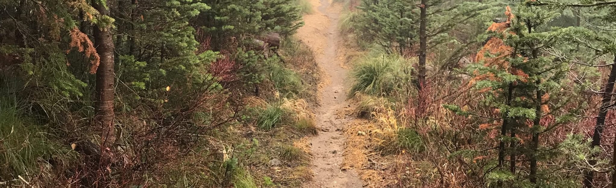 Bald Knob via Trail 131 193 Reviews, Map Washington AllTrails