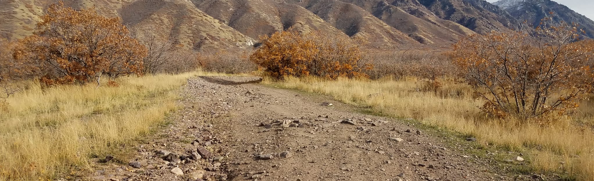 Santaquin Bench Spur 24 Reviews, Map Utah AllTrails