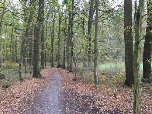 Radtour: Ennigerloh-Ostenfelde