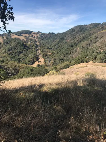 Best River Trails in Sugarloaf Ridge State Park | AllTrails