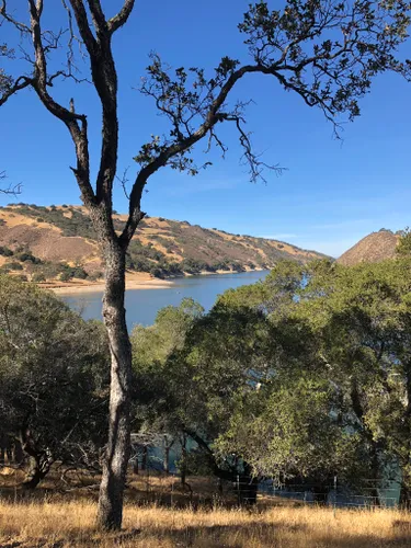 are dogs allowed at del valle regional park