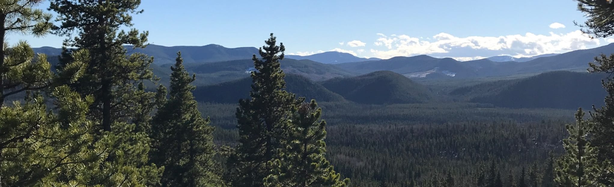 Elbow Valley Trail 283 foto's Alberta, Canada Wandelen AllTrails