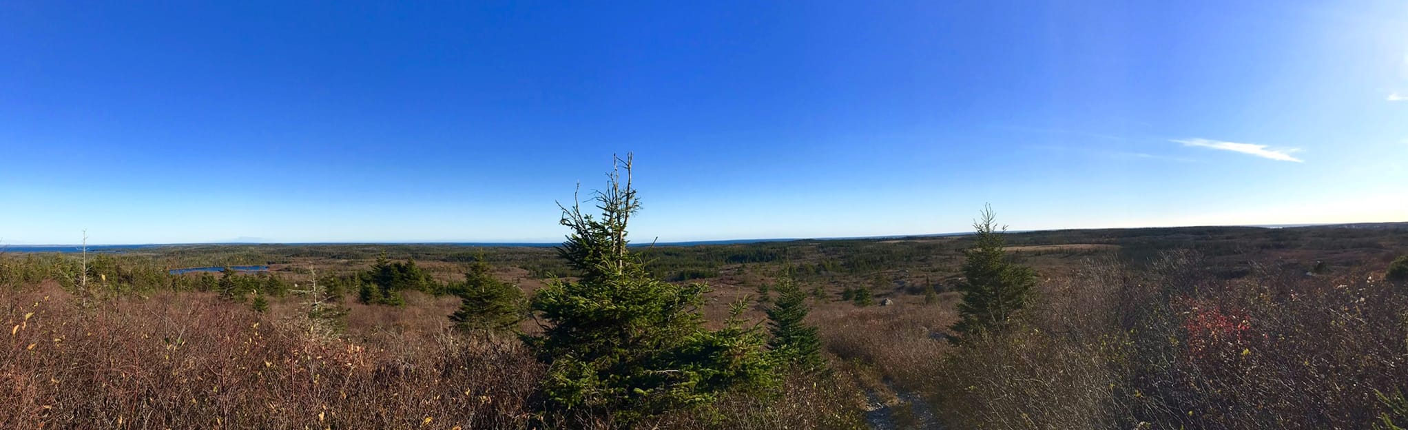 Bull Hill Road 3 Reviews, Map Nova Scotia, Canada AllTrails