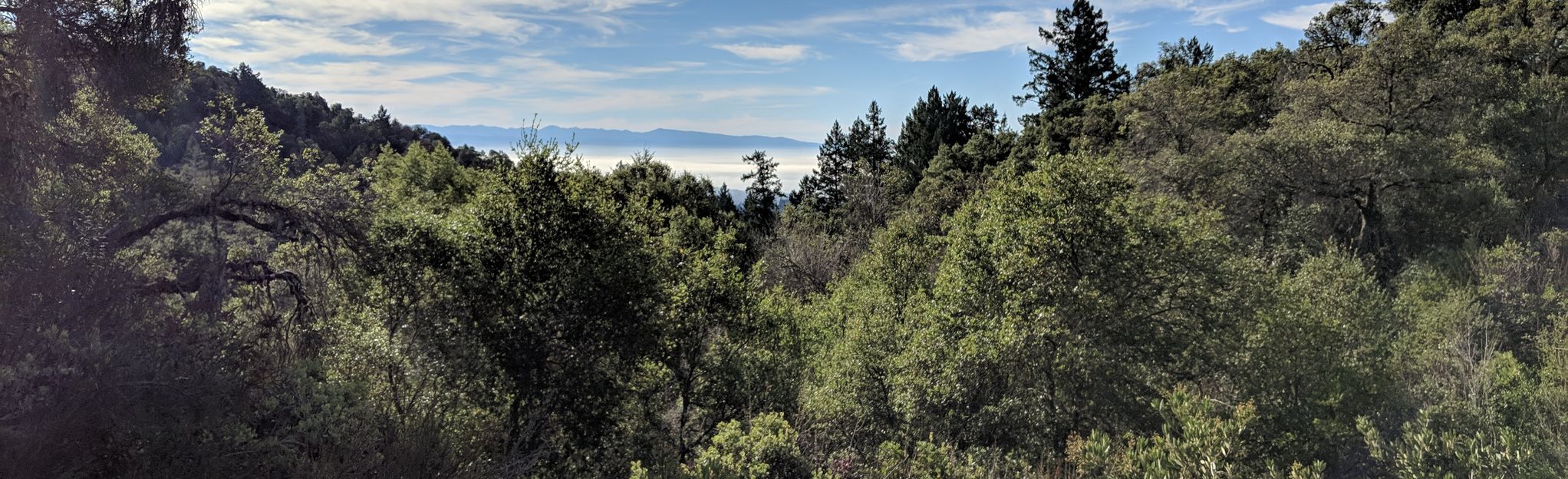 soquel demonstration forest trail map