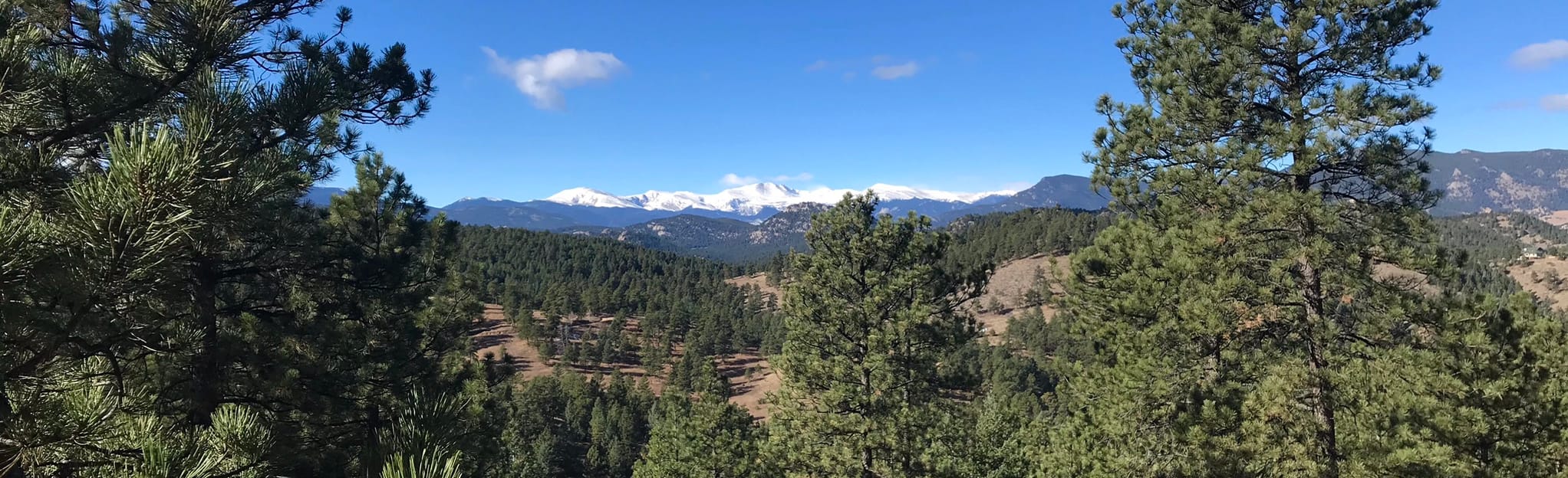 Bear Creek and Meadow View Loop, 1 712 Photos Colorado AllTrails