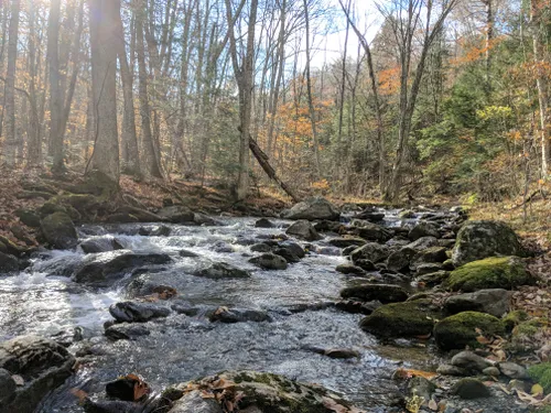 10 Best Hikes and Trails in Camel's Hump State Park | AllTrails