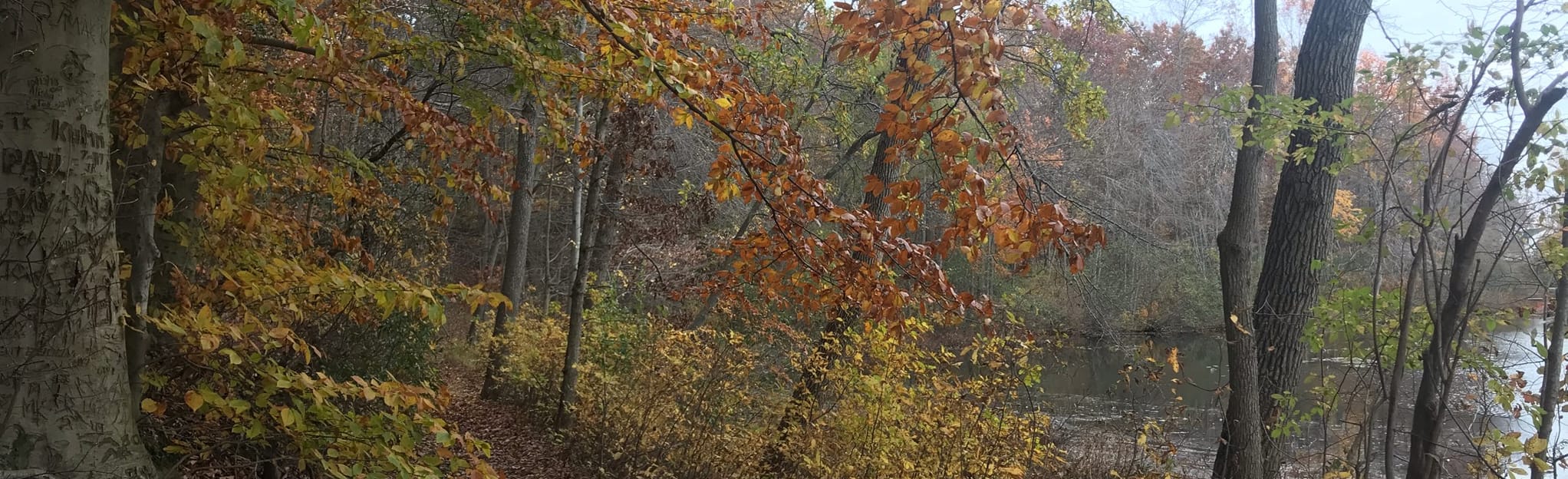 Grenloch Lake Trail 43 Reviews, Map New Jersey AllTrails