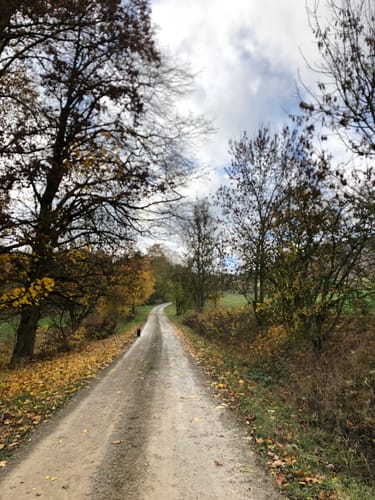 Hohenhaus Rundweg