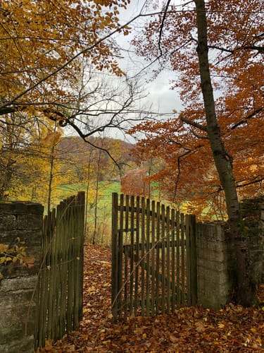 Hohenhaus Rundweg