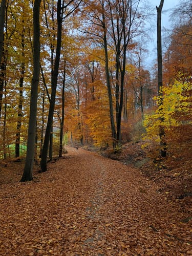 Hohenhaus Rundweg