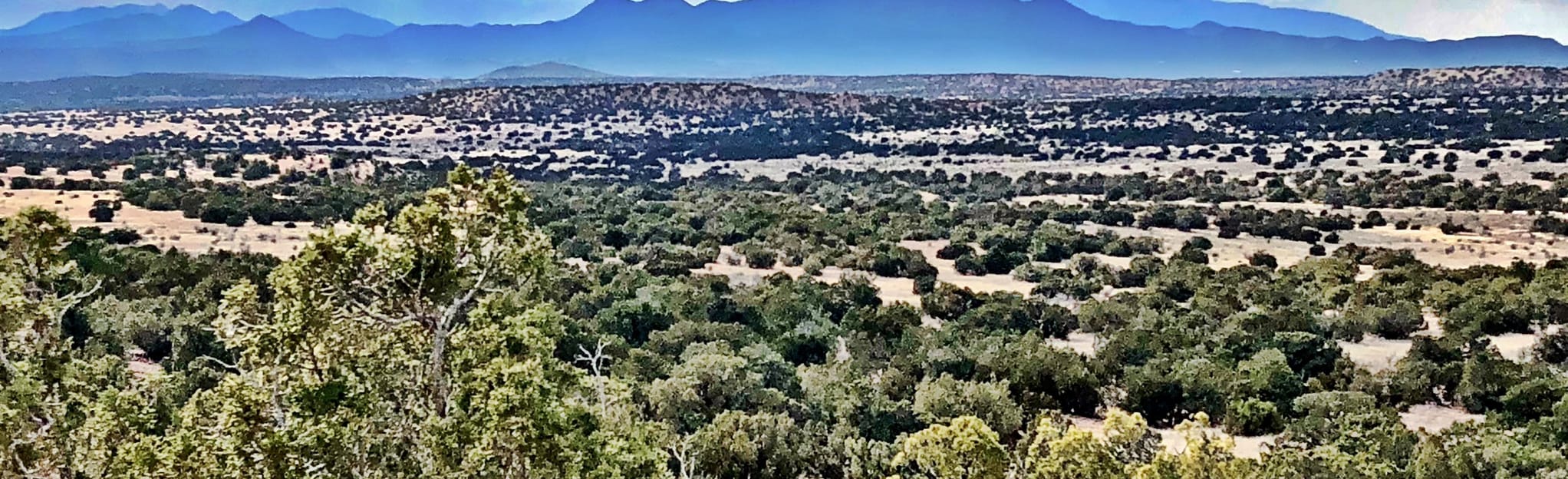 Galisteo Basin Preserve, New Mexico - 438 Reviews, Map | AllTrails