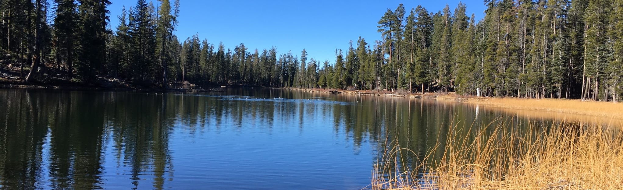 Barrett Lake via Red Peak OHV Trail 18 Reviews, Map California AllTrails