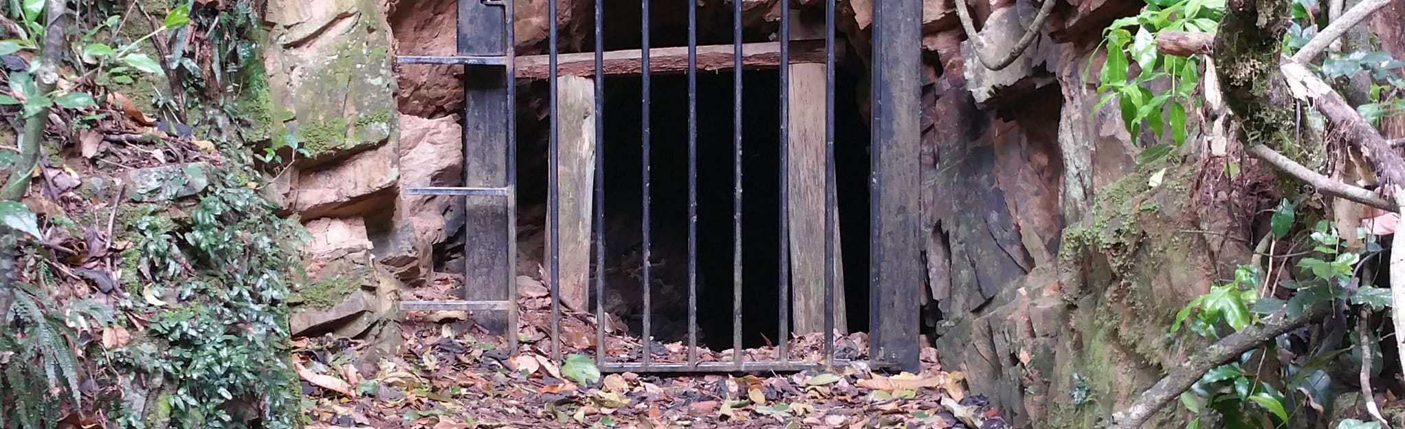 Hidden Treasure Track, New South Wales, Australia 28 Reviews, Map