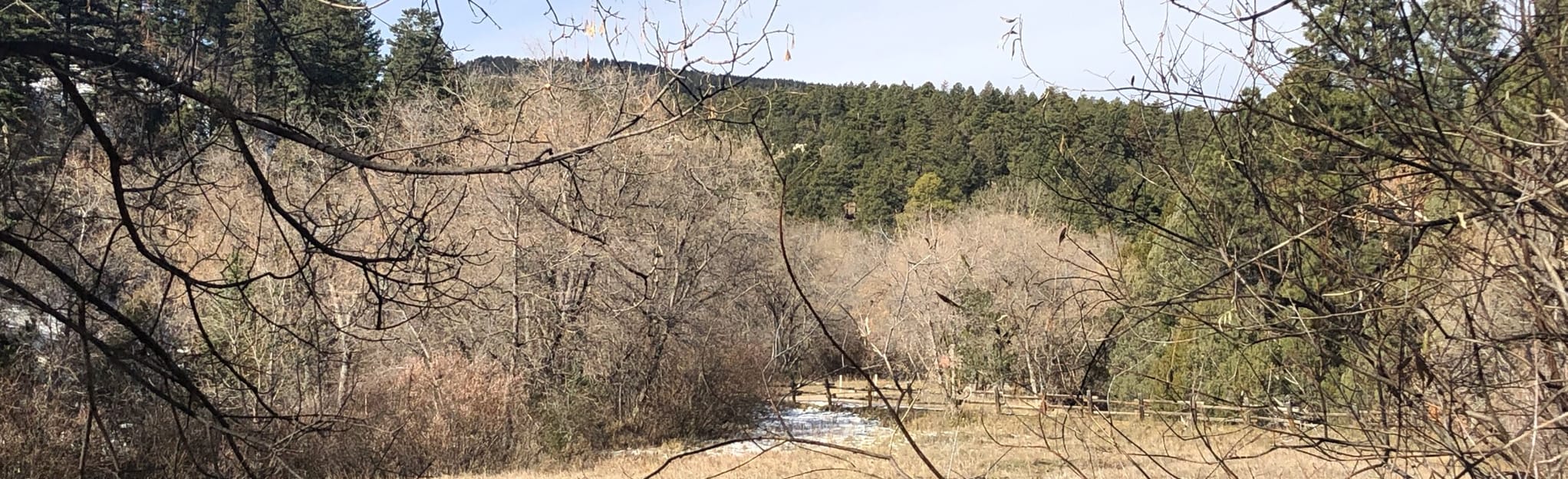 Sulphur and Cienega Canyon Loop 238 Reviews, Map New Mexico AllTrails