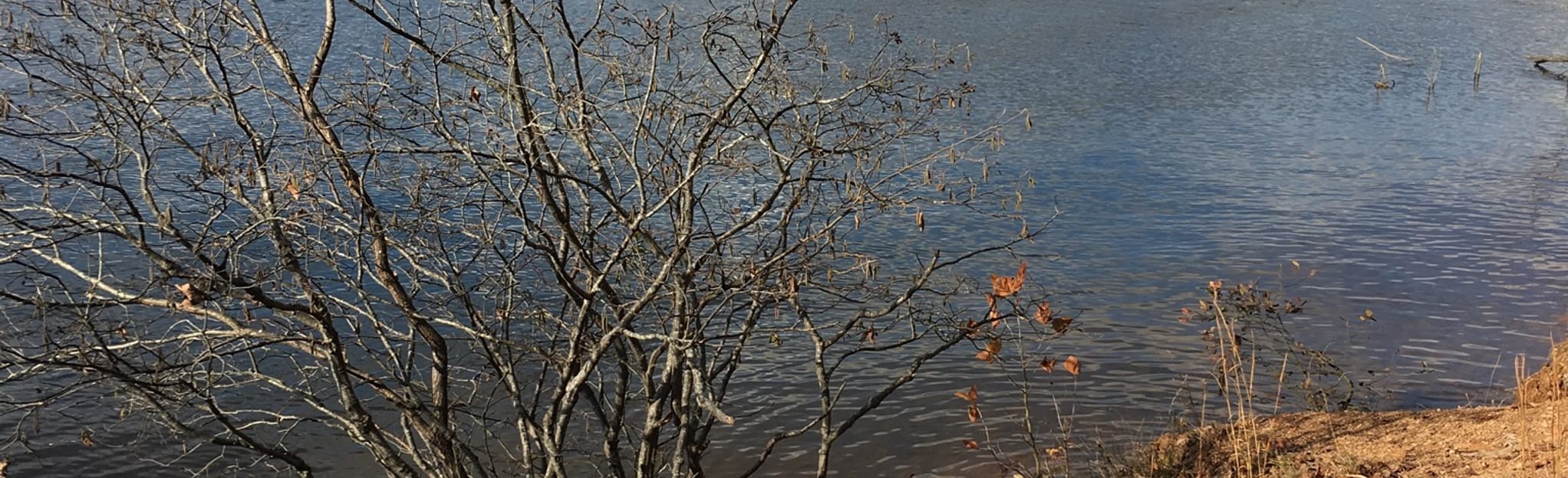 AllTrails Fisherman's Trail 68 Reviews, Map Virginia