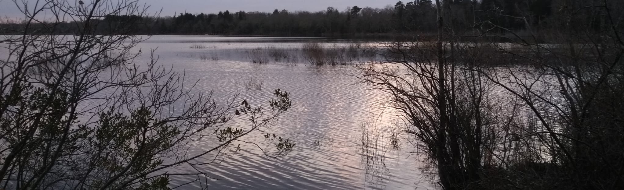 Still Run Trail Loop to Willow Grove Lake, New Jersey 8 Reviews, Map