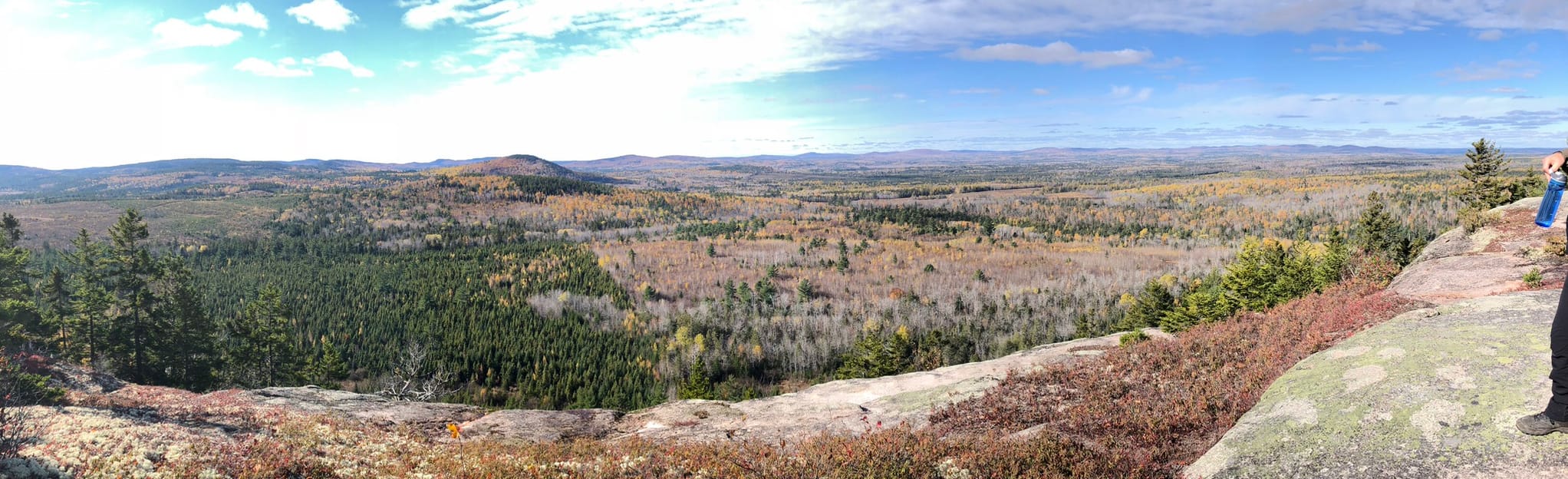 Bald Hill, New Brunswick, Canada 31 Reviews, Map AllTrails