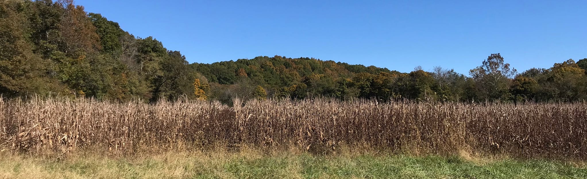 Castor River Conservation Area Loop Trail, Missouri 18 Reviews, Map