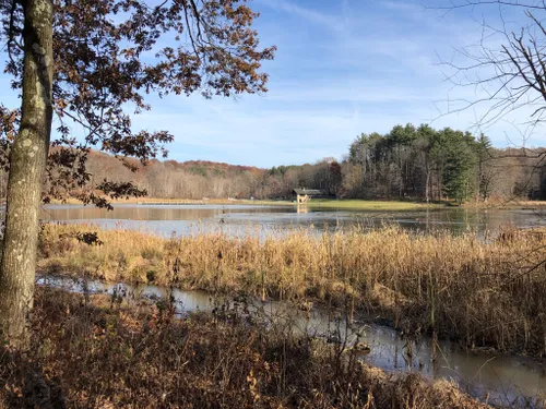 10 Best Hikes and Trails in Cuyahoga Valley National Park | AllTrails