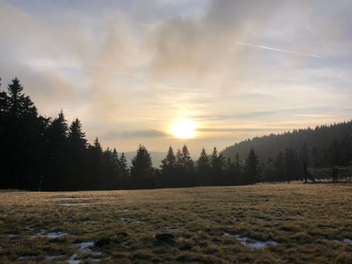 Rennsteig Etappe 4: Grenzadler -Allzunah