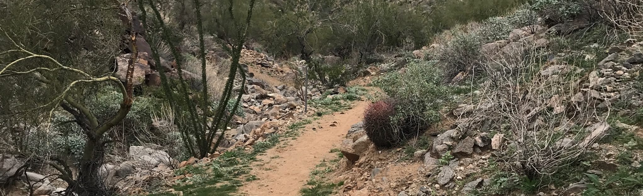 AllTrails Turnbuckle to Granite Falls to Pyrite to Pyrite Summit Loop