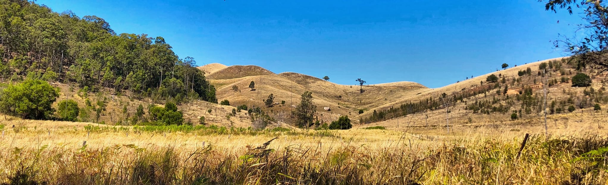 South East Ridge and Savages Ridge Loop, Queensland, Australia - 6 ...