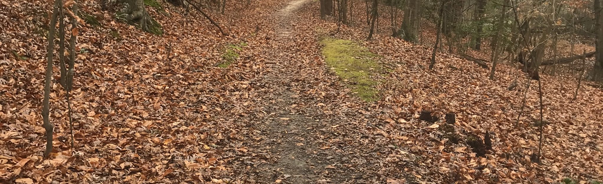 Monticello Trail to Matoaka Lake Trail 67 Reviews, Map Virginia