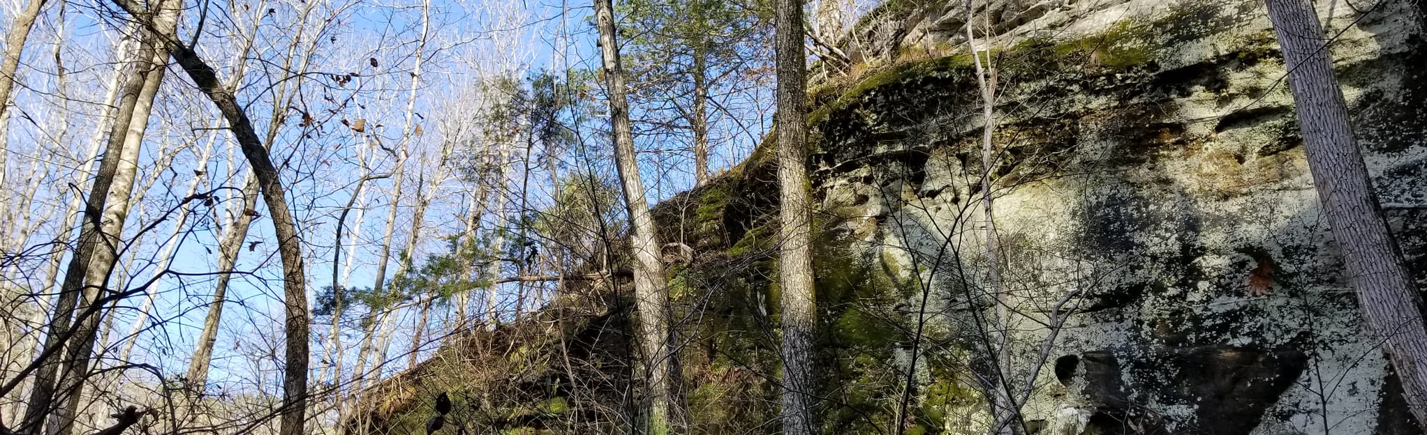 Ozark Highlands Trail: Cripple Turkey Rd to Brush Creek, Arkansas - 15 ...