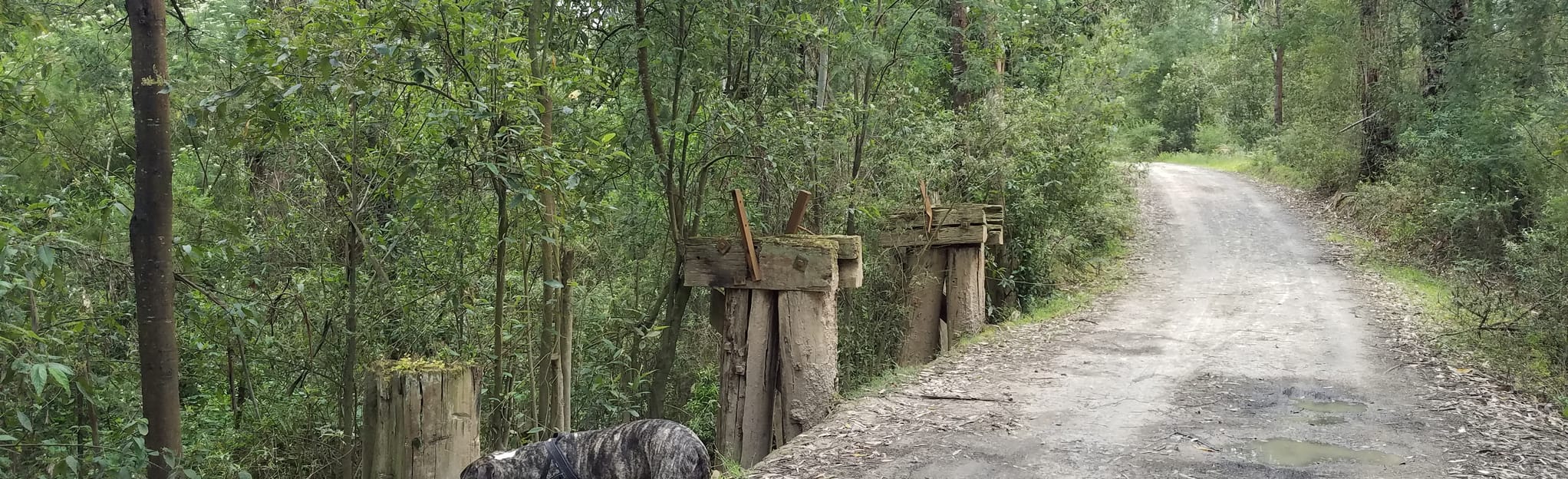 Rokeby to Crossover Rail Trail, Victoria, Australia 117 Reviews, Map