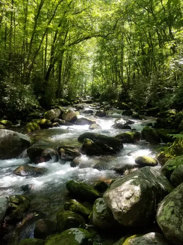 Best Waterfall Trails in Waynesville | AllTrails