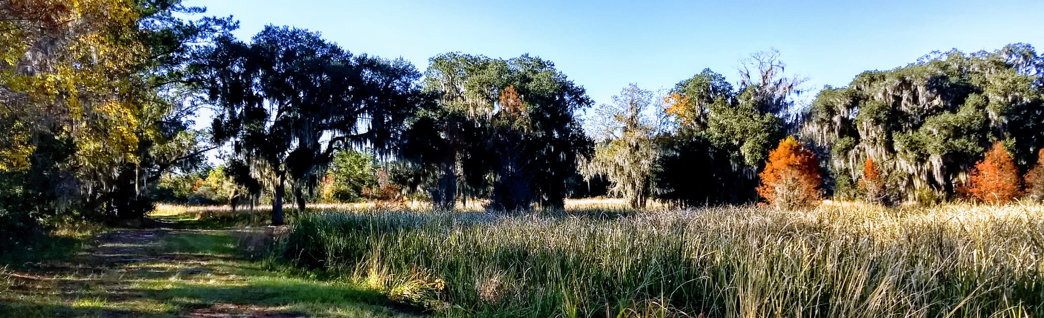 Grove Plantation, ACE Basin National Wildlife Refuge, South Carolina