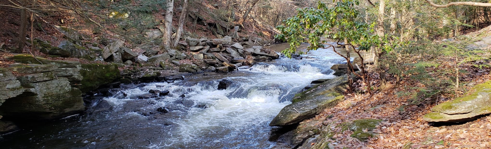 Pequonnock Valley Greenway Rails to Trails, Connecticut 860 Reviews