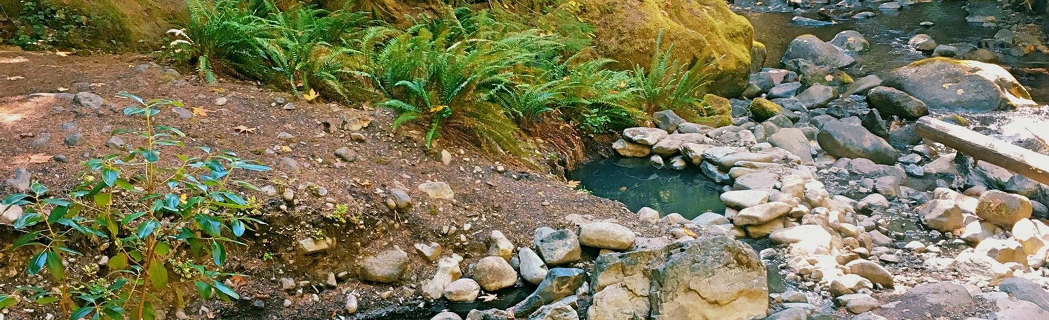 Wall Creek 3582 (Meditation Pool) Warm Springs Trail, Oregon 60 Reviews, Map AllTrails
