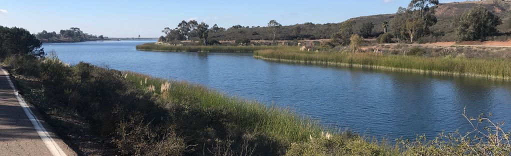 are dogs allowed at miramar lake