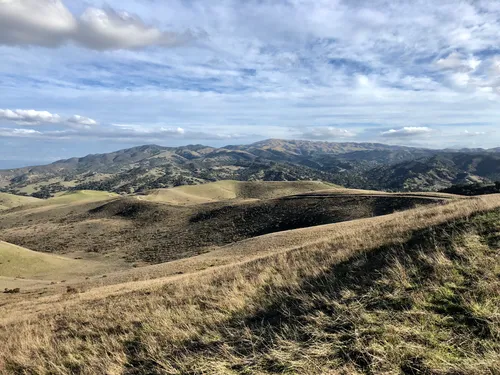 10 Best Hikes and Trails in Fort Ord National Monument  AllTrails